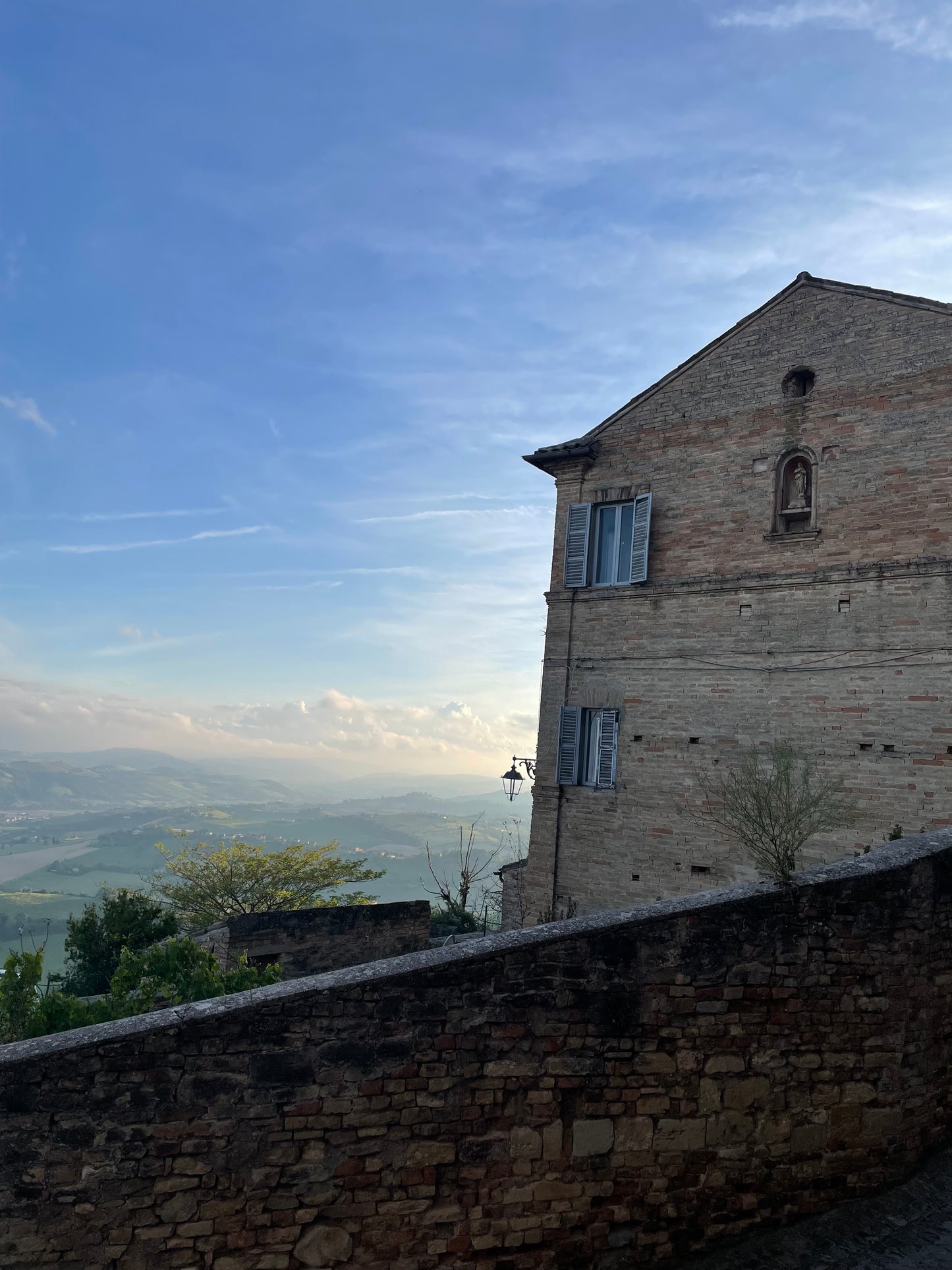 MONTERUBBIANO - Blue Tansy & Lavender