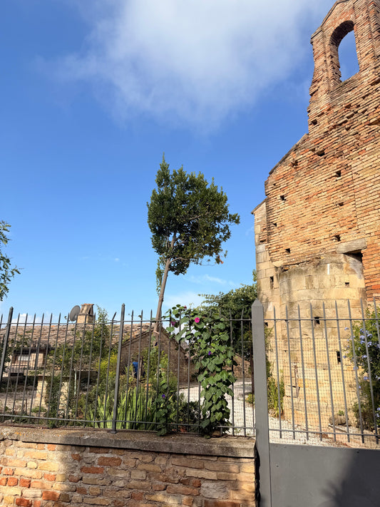 GIARDINO DELLE ERBE - Rosemary & Eucalyptus