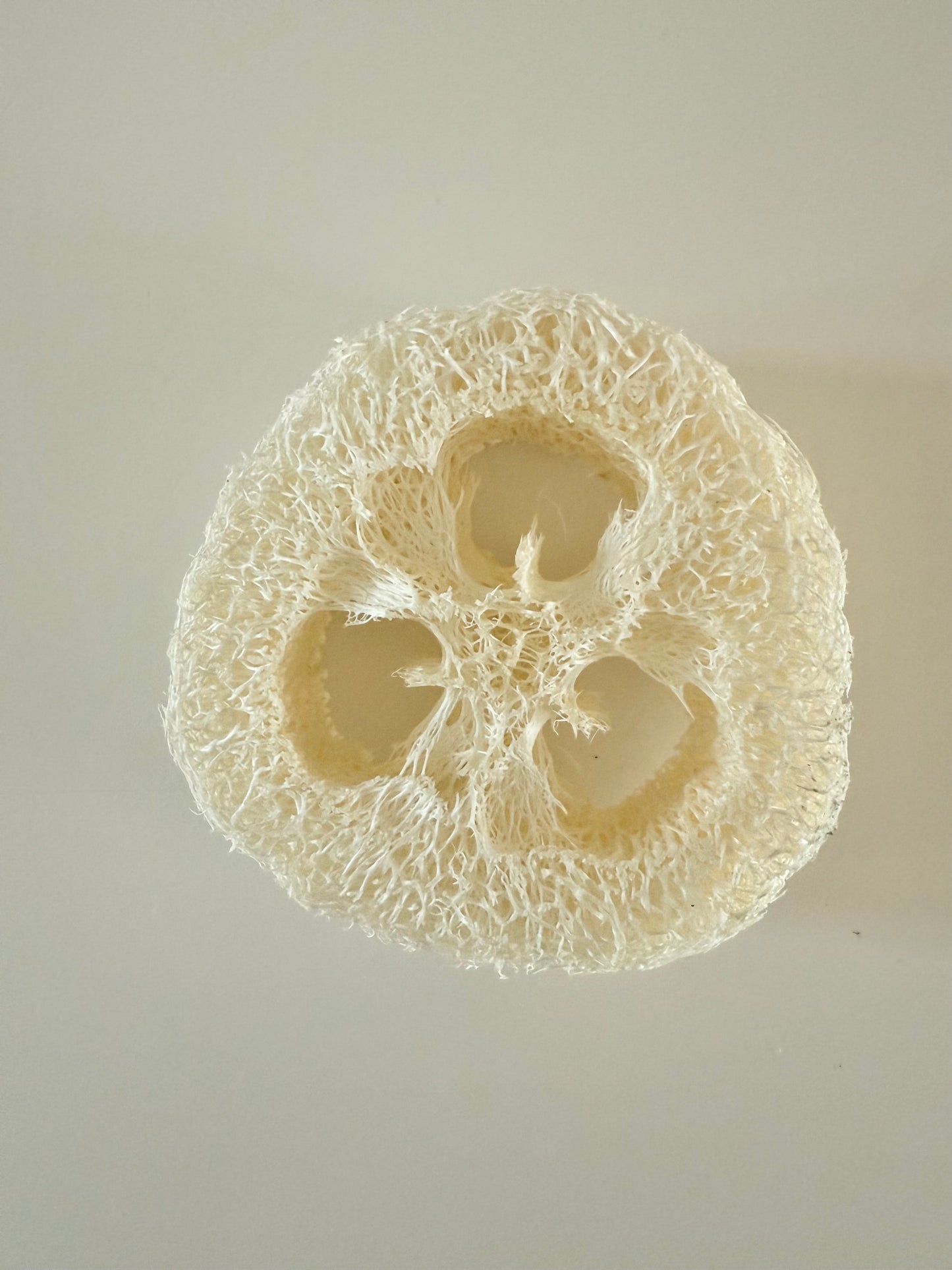 Natural loofah soap dish - keeps your soap dry and lasting longer