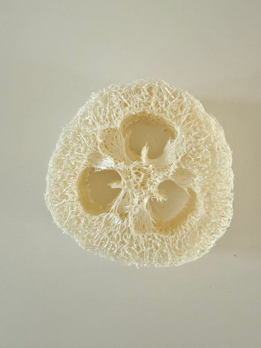 Natural loofah soap dish - keeps your soap dry and lasting longer